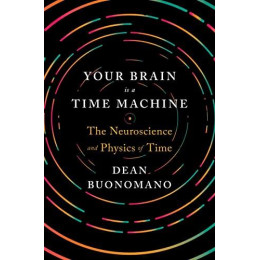 Your Brain is a Time Machine