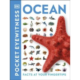 Ocean