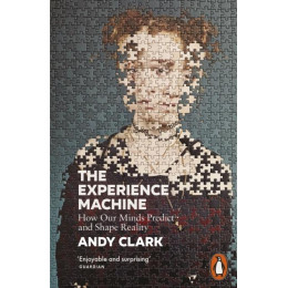 Experience Machine