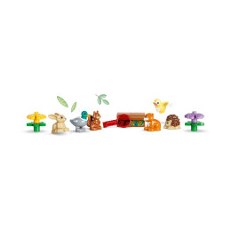 Lego Duplo: Discovery Forest With Wild Animals (10480)
