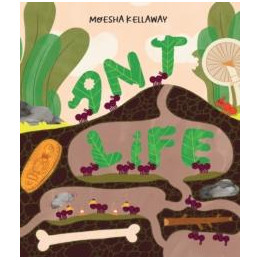 Ant Life