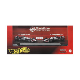 Mattel hot Wheels Premium: Formula1 2025 - Visa Cash app Racing Bulls Formula one Team (Jmm97)