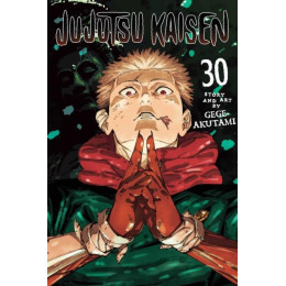 Jujutsu Kaisen: vol 30