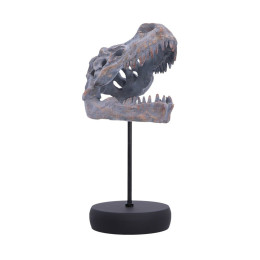 Nemesis Now: Tyrannosaurus rex Skull on Plinth (D7553b26)