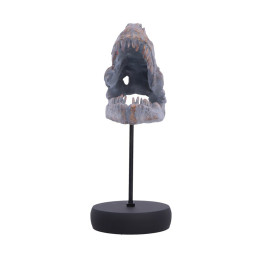 Nemesis Now: Tyrannosaurus rex Skull on Plinth (D7553b26)