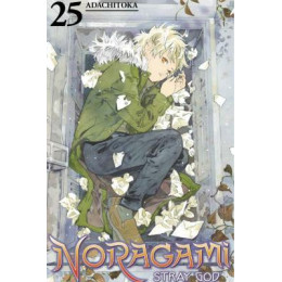 Noragami Stray god gn vol 25 (Res) (Mr) (c: 1-1-1)