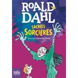 Sacrees Sorcieres Poche