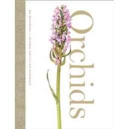 Orchids