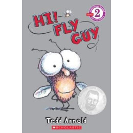 Hi! fly guy Level 2