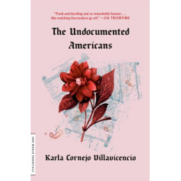 The Undocumented Americans