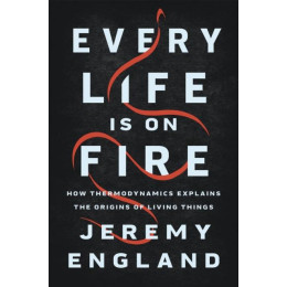 Every Life is on Fire