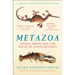 Metazoa