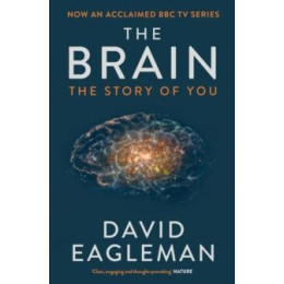 Brain
