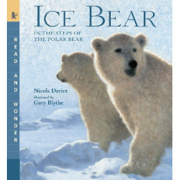 Ice Bear: Read and Wonder: in the Steps of the Polar Bear