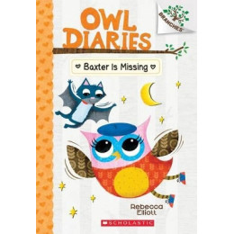 Baxter is Missing (Branches: owl Diaries, Book 6)