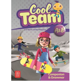Cool Team a & b Companion & Grammar