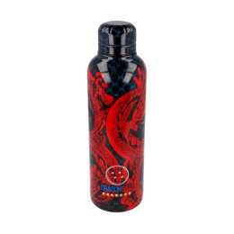 Stor: Dragon Ball Insulated Stainless Steel Bottle (515ml) (391)