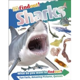 Dkfindout! Sharks