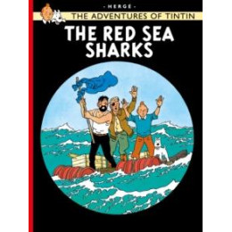 Red sea Sharks