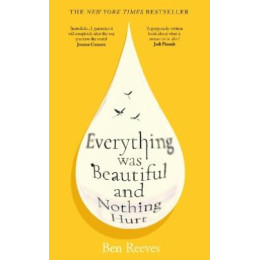 Everything was Beautiful and Nothing Hurt tpb