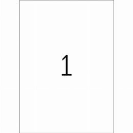 Ετικέτες TYPOTRUST 100 ΦΥΛΛΑ - 210 Χ 297mm (100 ετικ)