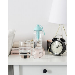 Μπουκάλι Με Φίλτρο Dafi Μέντα 500ml