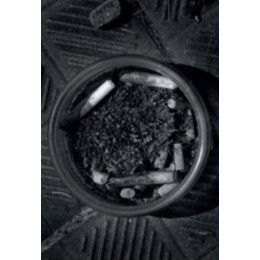 Η Συγκέντρωση - Ανν Ενράιτ