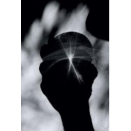 Η Μέτρηση Του Κόσμου - Ντάνιελ Κέλμαν