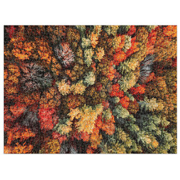 Παζλ Good Puzzle Company 1000 Κομματιών "Autumn Forest" GPC1620