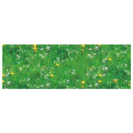 Χαρτόνι Γρασίδι Λουλούδια 50x68 300gr