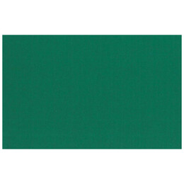 Χαρτόνι ΤΥΠΟΥ Κανσόν 31 Fir Tree 50x70cm 220gr