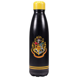 Graffiti Μεταλλικό Παγούρι Harry Potter Hogwarts 500ml 47645