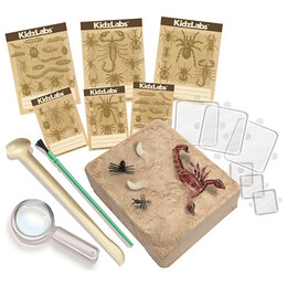 4M Toys - Ζωύφια του πλανήτη μας 3397 4M0573