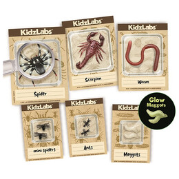 4M Toys - Ζωύφια του πλανήτη μας 3397 4M0573