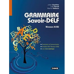 Grammaire Savoir-Delf A1/b2