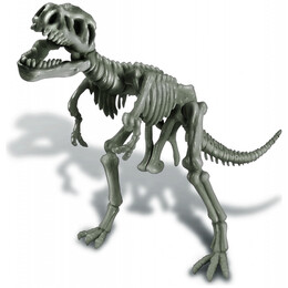 4M Toys - Ανασκαφή Σκελετού Δεινοσαύρου - Τυραννόσαυρος Ρεξ 3221 4M0007