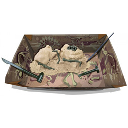 4M Toys - Ανασκαφή Σκελετού Δεινοσαύρου - Τυραννόσαυρος Ρεξ 3221 4M0007