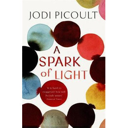 Jodi Picoult - a Spark of Light