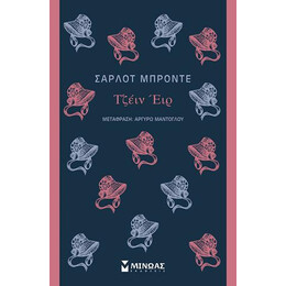 Τζέιν έιρ