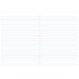 Ανταλλακτικά Φύλλα Filofax Α5 Notebook Ριγέ Σημειώσεις 152008