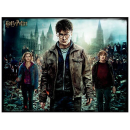 Παζλ 500 τεμάχια 3D - Harry Potter Harry, Hermione and Ron 32559