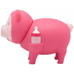 Γουρουνάκι Κουμπαράς Baby Girl 9016