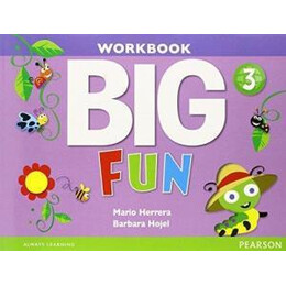 Big fun 3 Workbook (+cd)