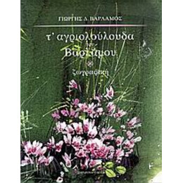 Τ' Αγριολούλουδα Του Βαρλάμου