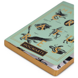 Σημειωματάριο Α5 Harry Potter Flex Magical Greatures 48701