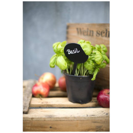 Πινακάκια Μαυροπίνακα Securit Καρφωτά Διπλής Όψης Στρογγυλά Σετ 5 τεμαχίων TAG-BUBBLE-5