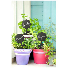 Πινακάκια Μαυροπίνακα Securit Καρφωτά Διπλής Όψης Λουλούδι Σετ 5 τεμαχίων TAG-FLOWER-5