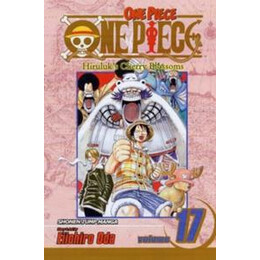 One Piece (Vol. 17)