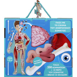 Μαθαινω και Εξερευνω: το Ανθρωπινο Σωμα