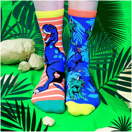 Σετ Παιδικές Κάλτσες United ODD Socks Dino Eggs 3 Ζευγάρια σε Συσκευασία Δώρου 94.01.008